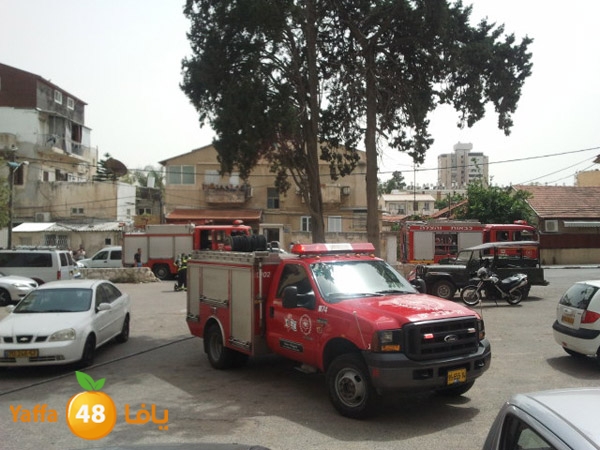 fireinyaffaw5 (1).jpg